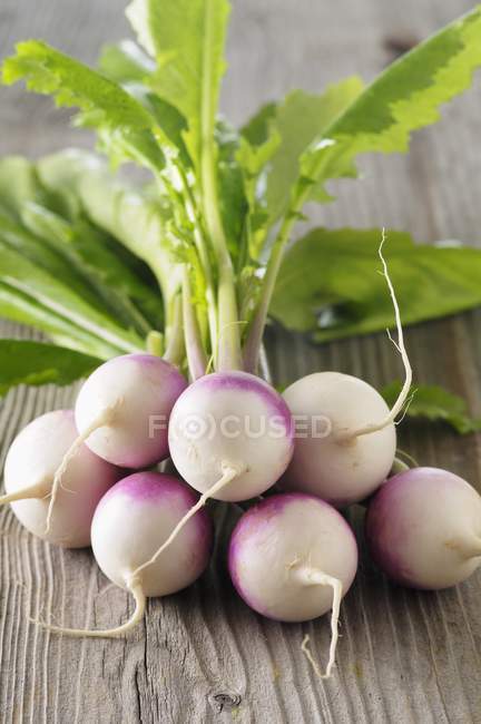 Bunch of fresh turnips with stalks — Stock Photo