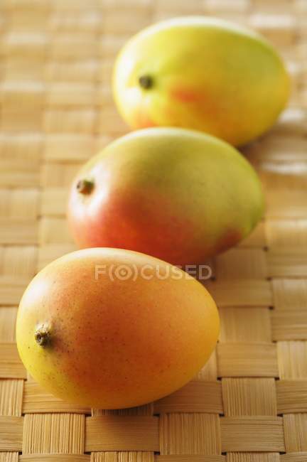 Fresh ripe mangos — Stock Photo