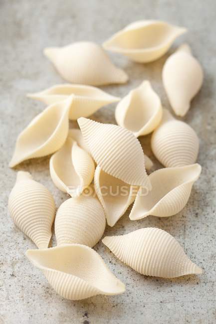 Conchiglie gusci di pasta — Foto stock