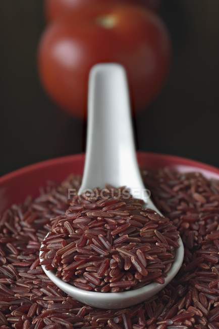 Красный рис в миске — стоковое фото