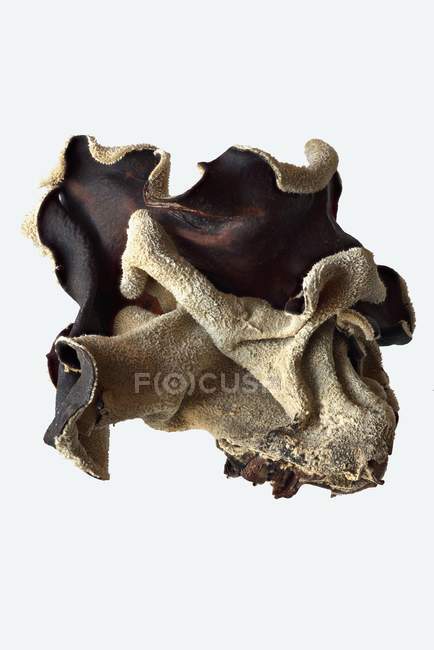 Vue rapprochée des champignons Mu-err séchés sur fond blanc — Photo de stock