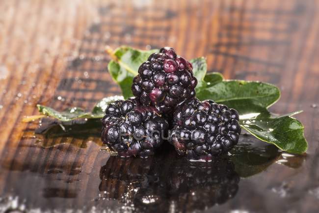 Fresh blackberries with leaves — Stock Photo