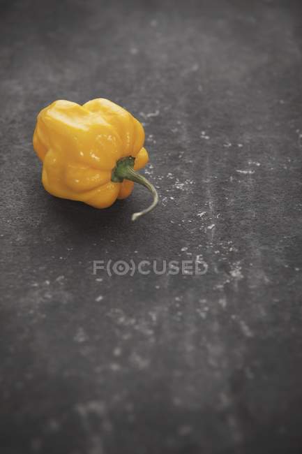 Yellow Habanero chilli pepper — Stock Photo