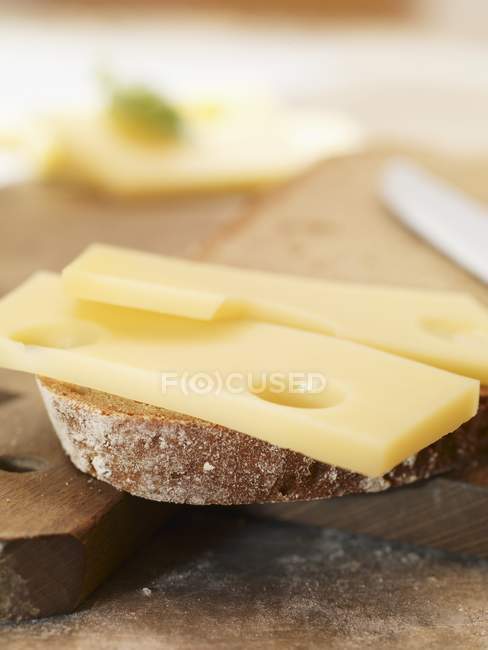Rebanada de pan cubierto con queso - foto de stock
