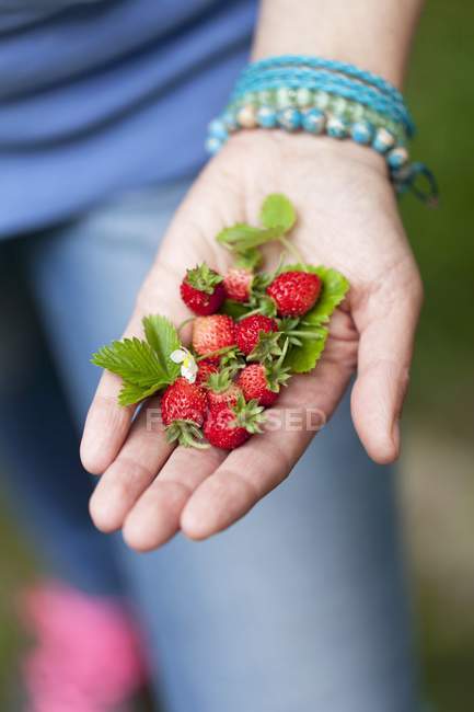 Femme tenant des fraises sauvages — Photo de stock