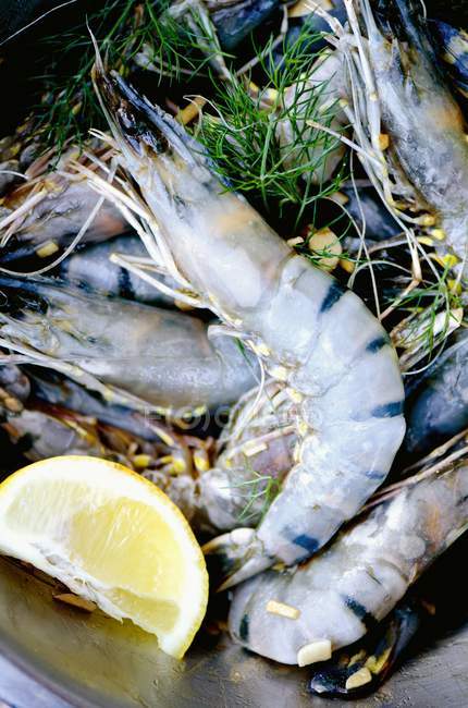 King prawns in herb and lemon marinade — Stock Photo