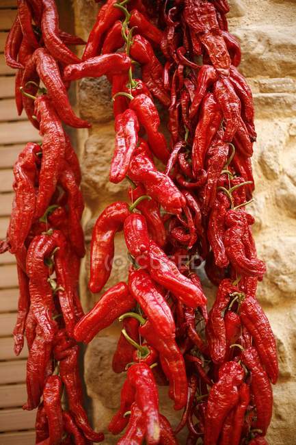 Saiten aus getrockneten roten Paprika — Stockfoto