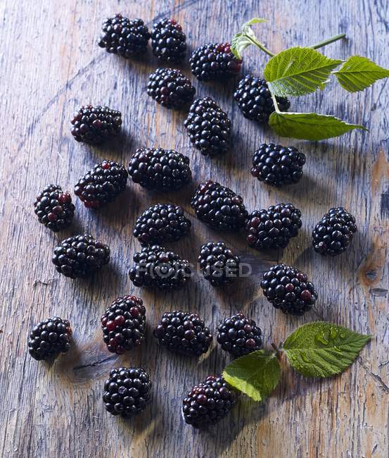 Fresh Blackberries with leaves — Stock Photo