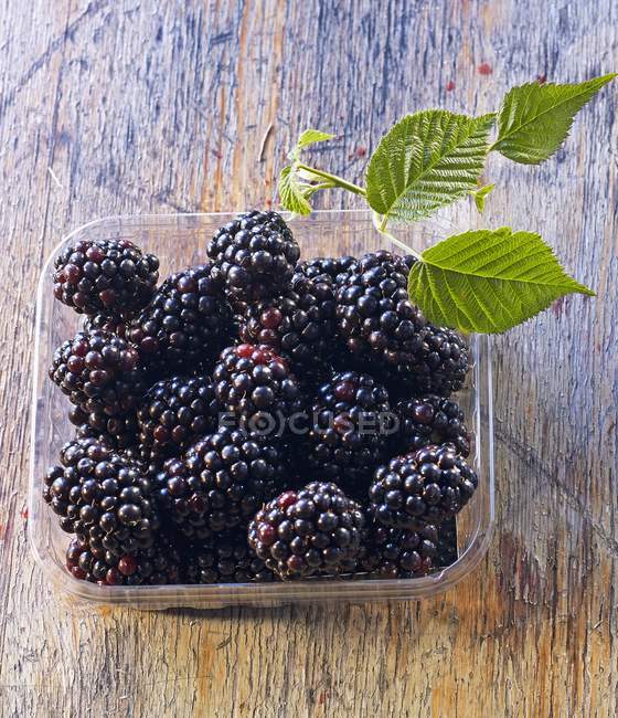 Heap of Blackberries with leaves — Stock Photo