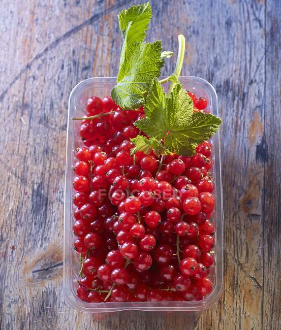Ribes rosso in un punnet di plastica — Foto stock