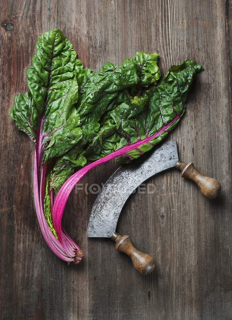 Charred and a mezzaluna knife on a wooden surface — Stock Photo