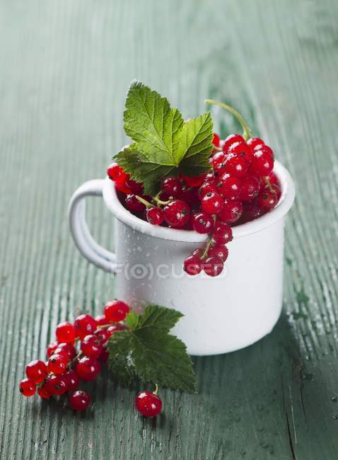 Red currants in mug — Stock Photo