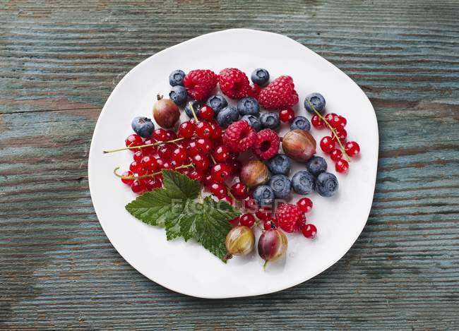 Літні ягоди на білій тарілці — стокове фото