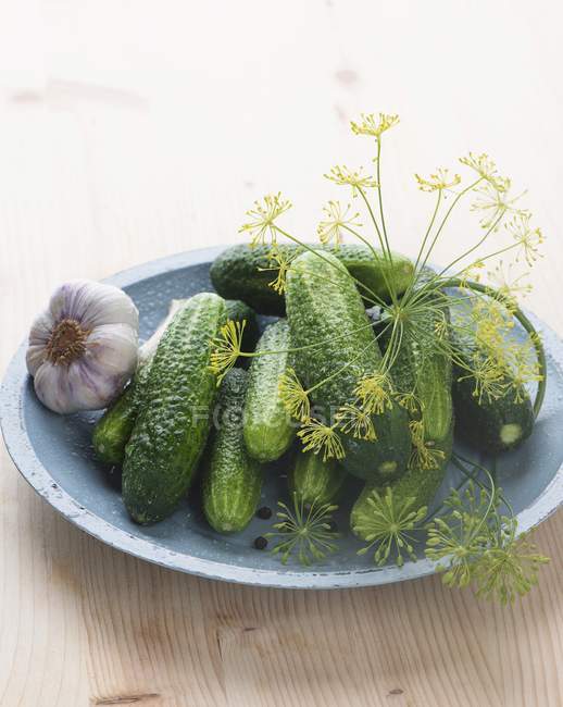 Gherkins with garlic and dill — Stock Photo