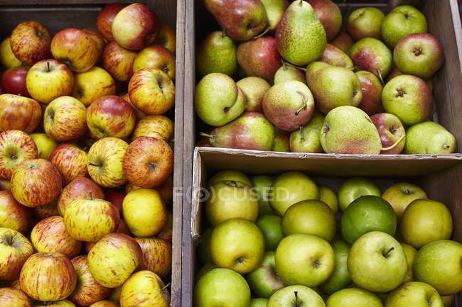 Fresh apples and pears — Stock Photo