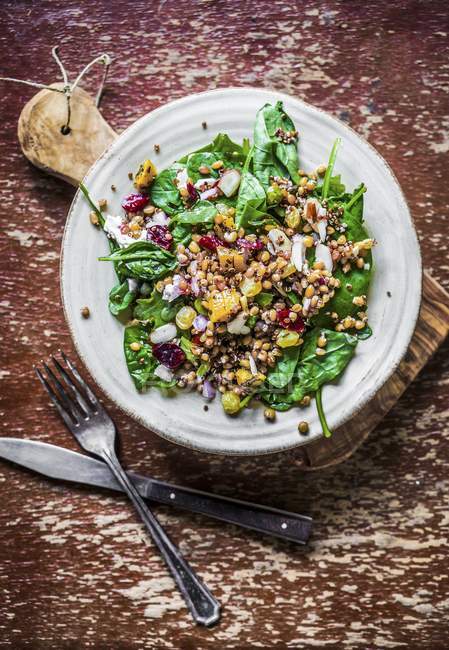 Spinatsalat mit Quinoa — Stockfoto