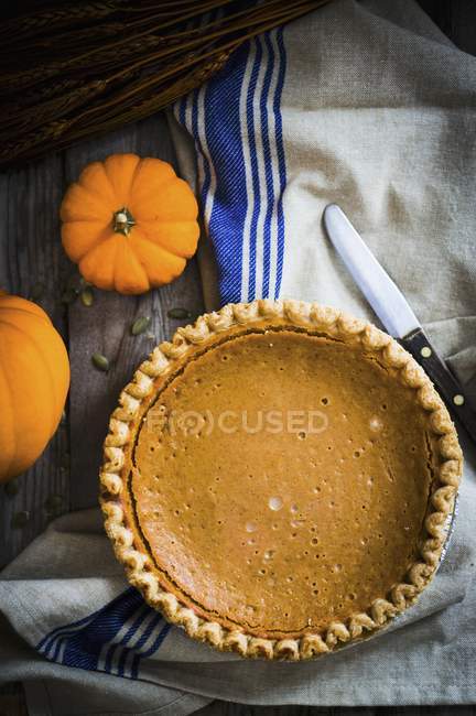 Whole pumpkin pie — Stock Photo