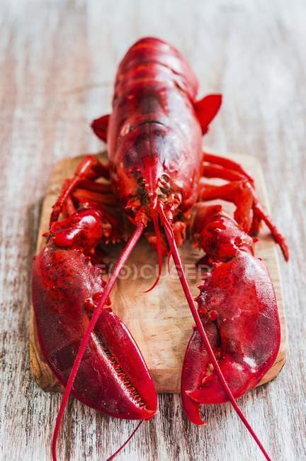 Closeup view of red cooked lobster on chopping board — Stock Photo