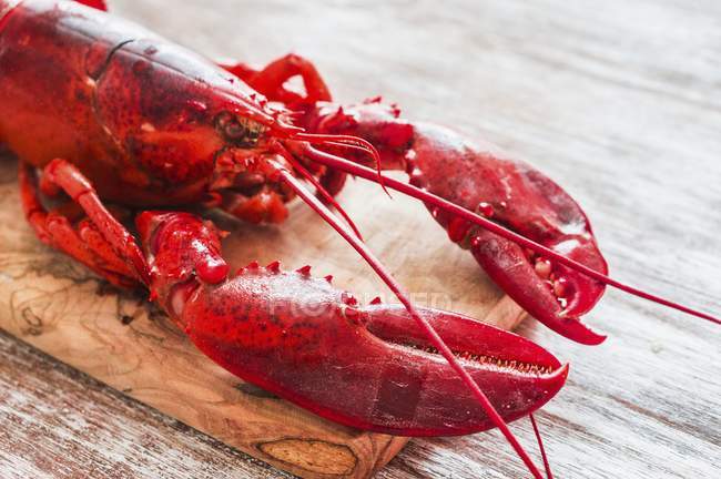 Vue rapprochée du homard rouge cuit sur planche à découper — Photo de stock
