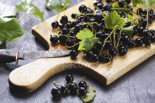Blackcurrants with leaves on board — Stock Photo