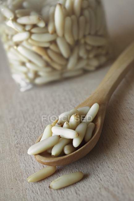 Pine nuts on wooden spoon — Stock Photo