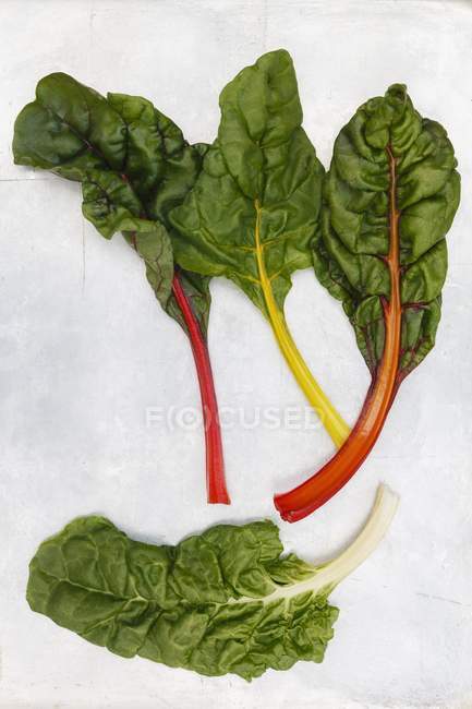 Colorful chard leaves — Stock Photo