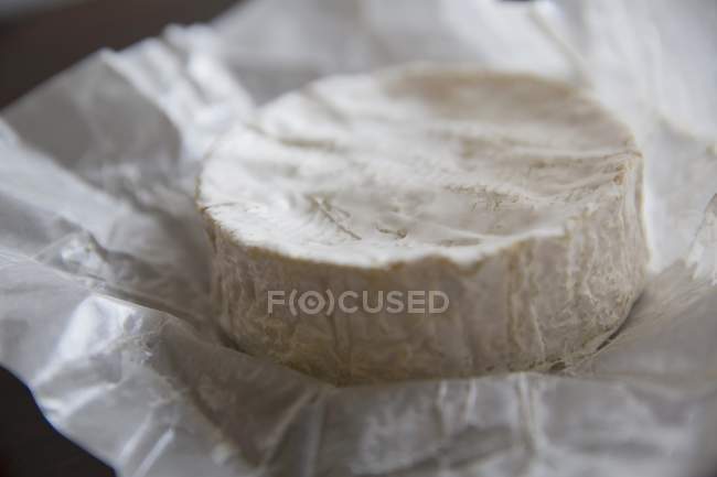 Brie cheese wheel — Stock Photo