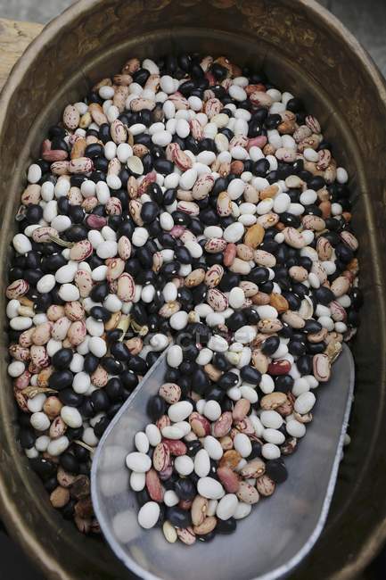 Colorful heirloom beans in bucket — Stock Photo