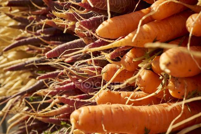 Montones de zanahorias frescas - foto de stock