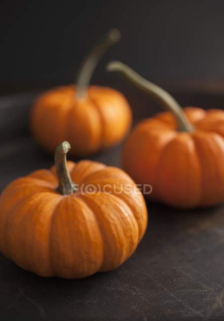 Orange mini pumpkins — Stock Photo