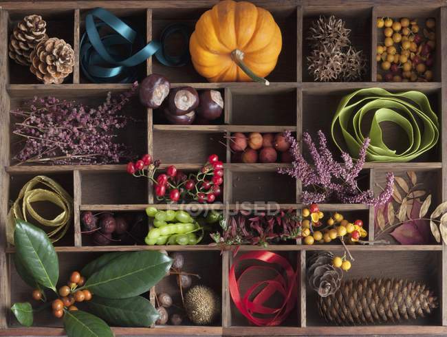 An autumnal arrangement in an old seedling tray — Stock Photo