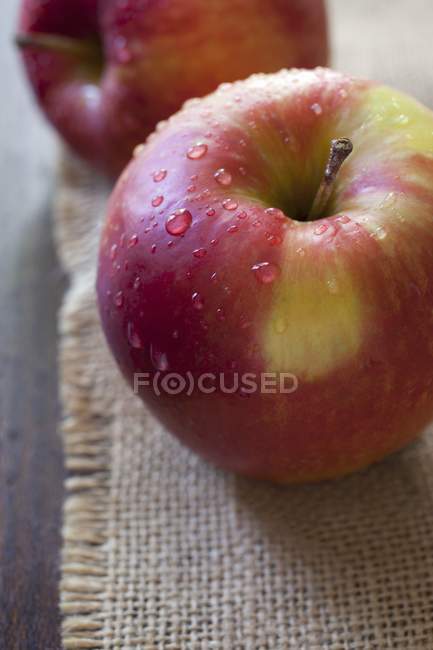 Свежевымытые яблоки — стоковое фото