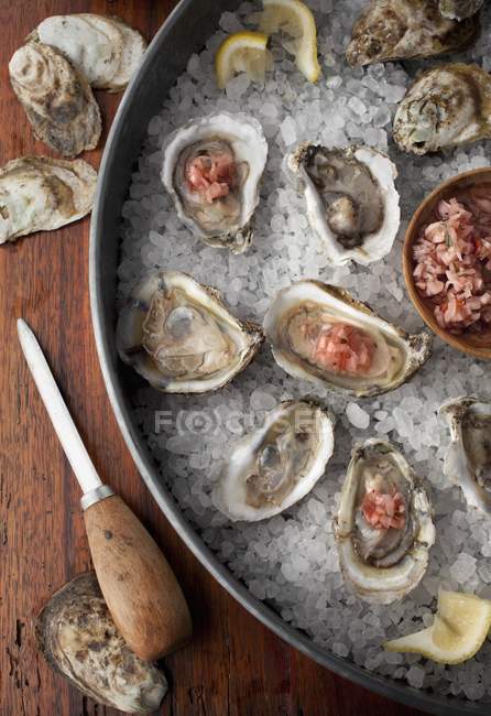 Fresh Oysters in shells — Stock Photo