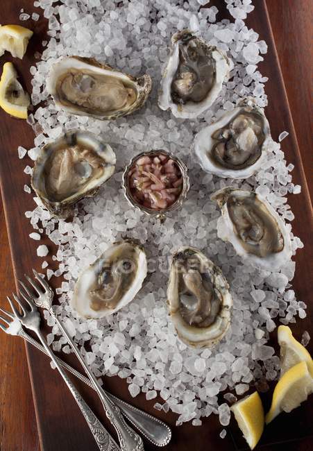 Fresh Oysters in shells — Stock Photo