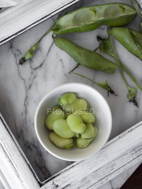 Fresh fava beans in white bowl — Stock Photo