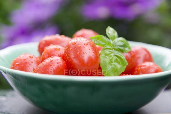 Bol de tomates prunes fraîches — Photo de stock