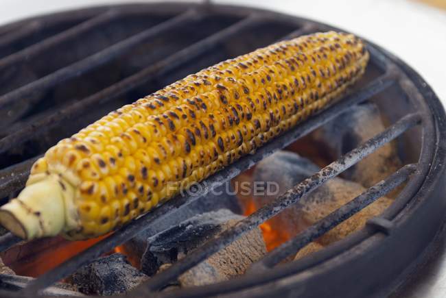 Corn cob on barbecue — Stock Photo