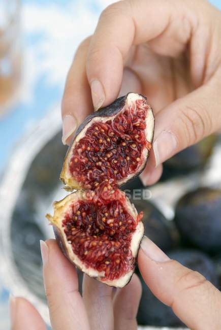 Female hands holding halved fig — Stock Photo