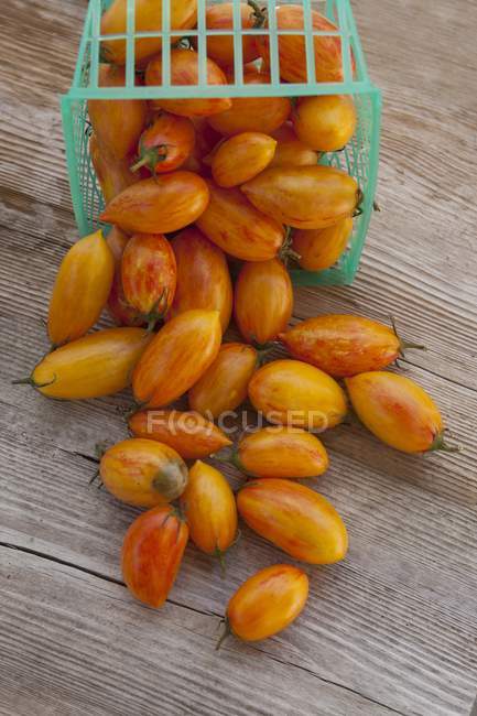 Pomodori ciliegia cimelio — Foto stock