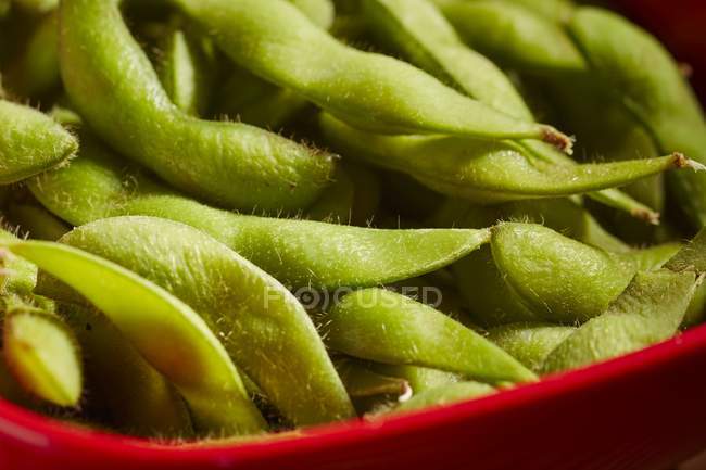 Unripe soya beans Edamame — Stock Photo