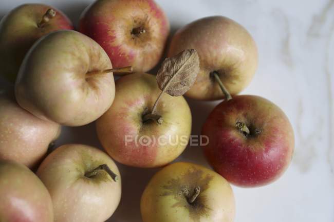 Pink pearl apples — Stock Photo