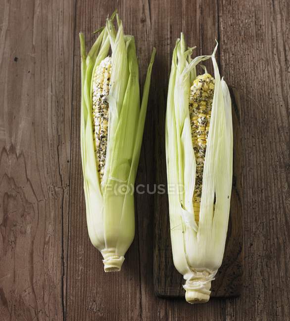 Два свежих кукурузных початка — стоковое фото