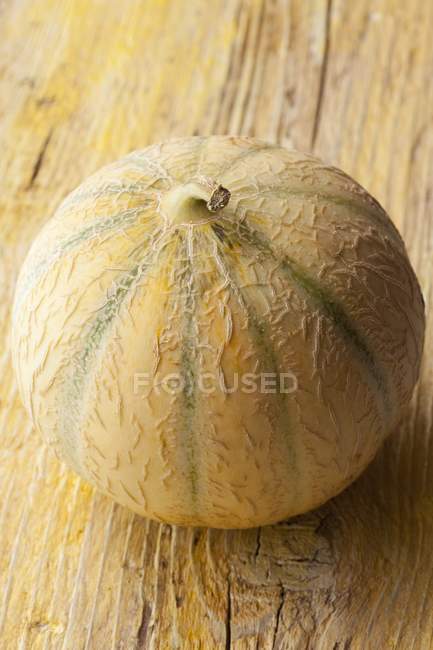 Fresh ripe melon — Stock Photo