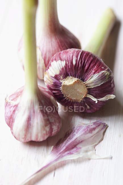 Fresh purple garlic bulbs — Stock Photo
