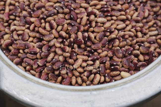 Spotted brown and red heirloom beans in an aluminium pot — Stock Photo