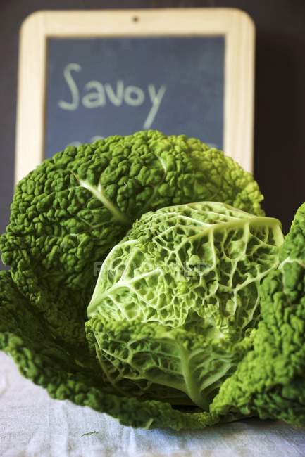 Fresh Savoy cabbages — Stock Photo