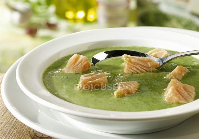 Суп зі шпинату з лососем — стокове фото