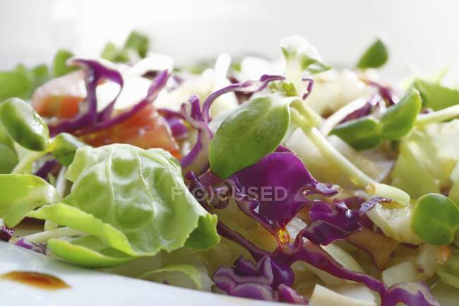 Mixed salad with cabbage — Stock Photo