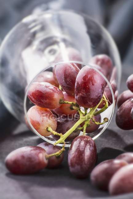 Uvas vermelhas em copo de vinho — Fotografia de Stock