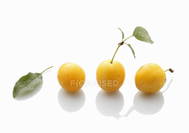 Prunes jaunes avec feuilles — Photo de stock